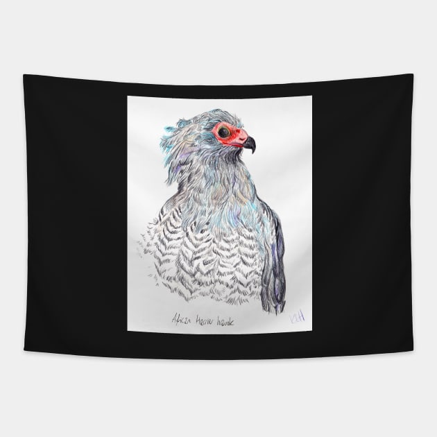 African Harrier Hawk Tapestry by sadnettles