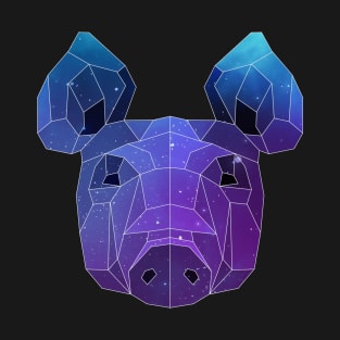 Galaxy Pig T-Shirt