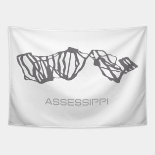 Assessippi Resort 3D Tapestry