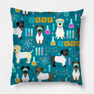 Lab Assistant Pillow