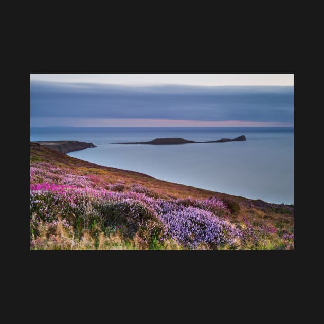 Worms Head and Rhossili Bay from Rhossili Down, Gower, Wales by dasantillo