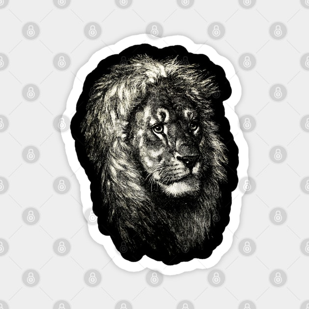 Dramabite Artistic Lion head Cute Hand Drawn Animal Graphic Realistic Magnet by dramabite