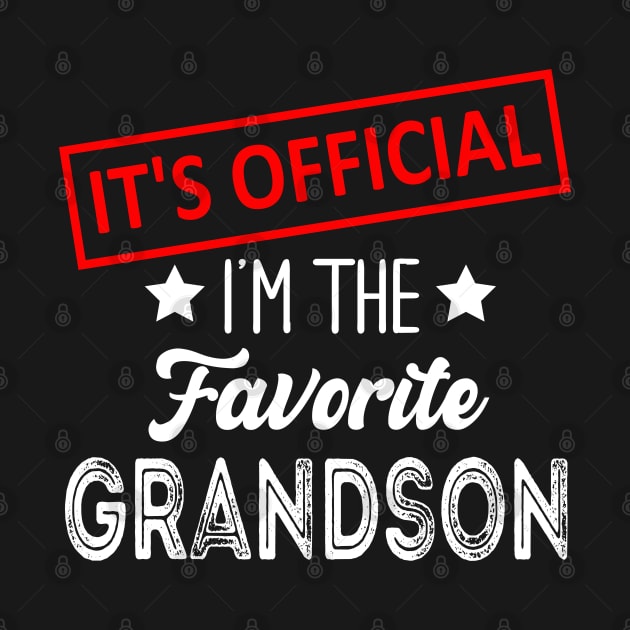 It's Official I'm The Favorite Grandson, Favorite Grandson by Bourdia Mohemad