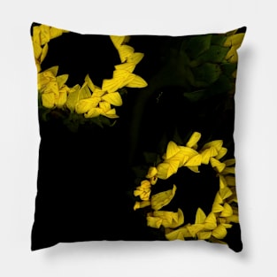 Beautiful yellow sunflowers Pillow