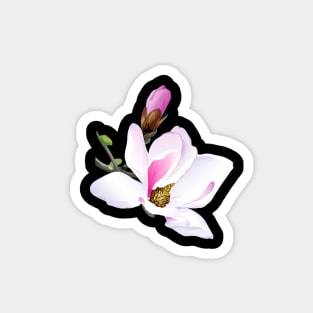 Magnolia Blossom Magnet