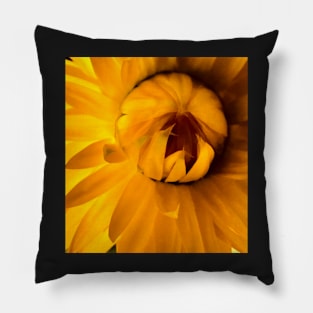 Yellow Straw Flower - Shine Your Light! Pillow