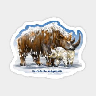 The woolly rhinoceros Coelodonta antiquitatis, Pleistocene Magnet