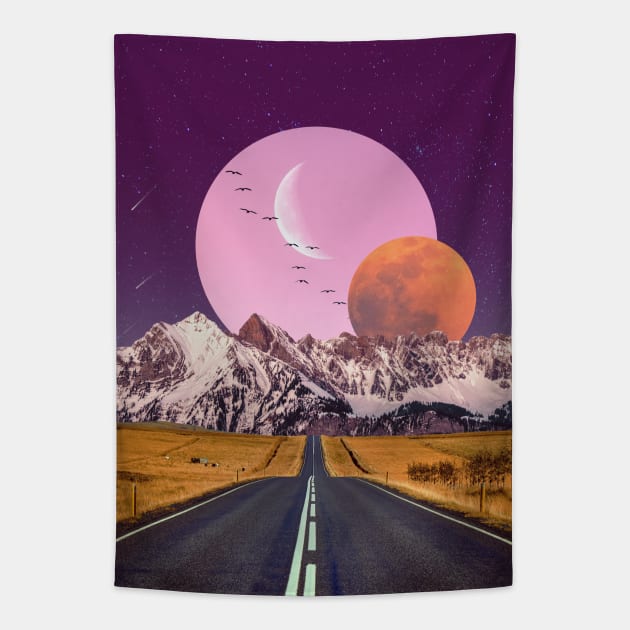 Pink Moon Tapestry by Aaron the Humble