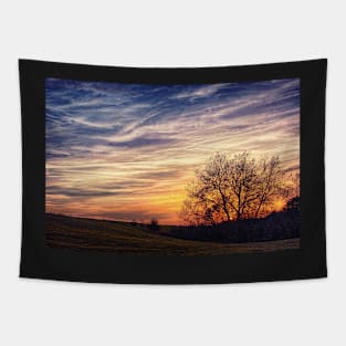 Sunset on A Painted Sky Tapestry