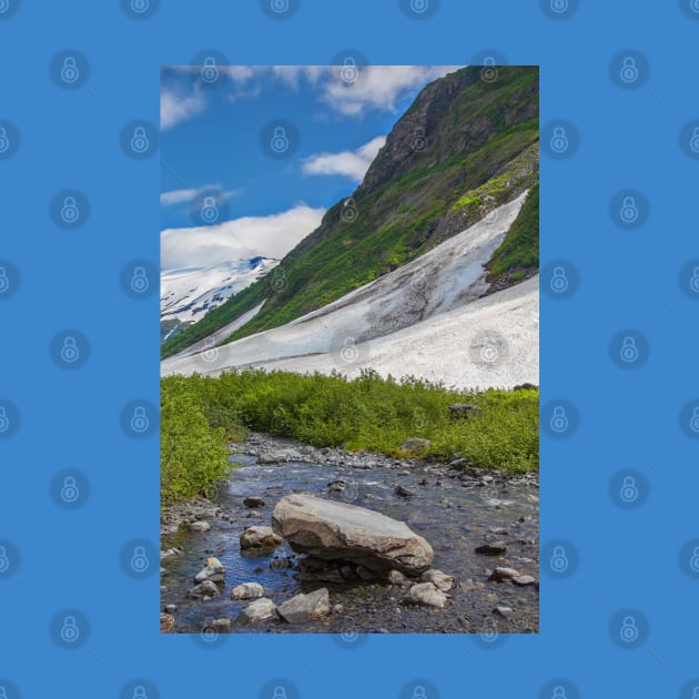 USA. Alaska. Stream with Rocks. by vadim19