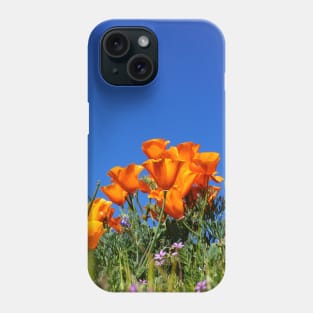 California Poppies and Blue Skies Photograph Phone Case