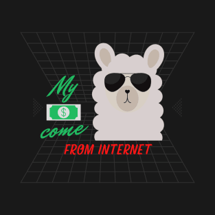 My money come from internet T-Shirt