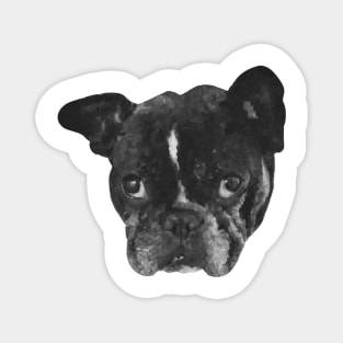 Boston Terrier Dog Painting Magnet