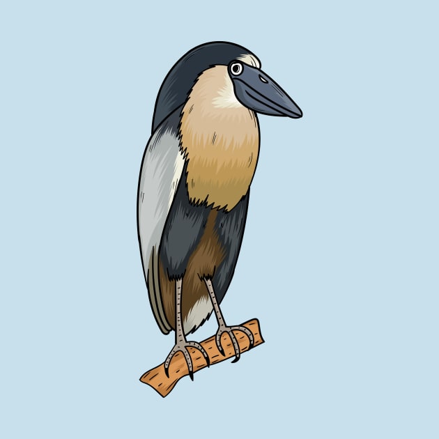 Boat-billed heron bird cartoon illustration by Cartoons of fun