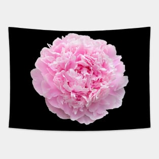 Pretty Pink Peony Flower for your Hydro Flask Tapestry