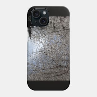 snowy  oregon forest 2 Phone Case