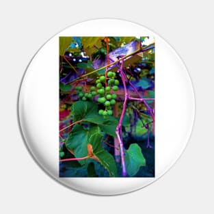 Hanging on the Vine Pin
