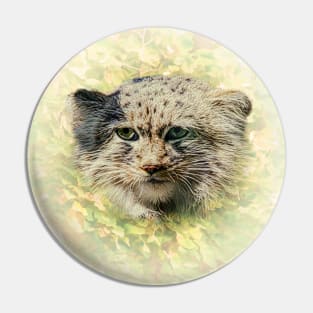 Manul-Pallas's cat Pin