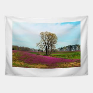 A Colorful Field Tapestry