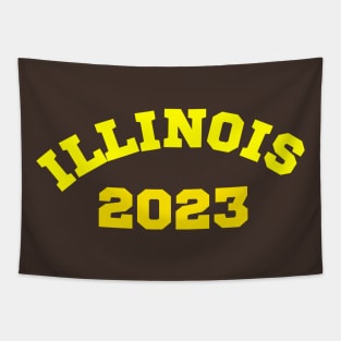 Illinois 2023 Tapestry