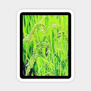 rice plant Magnet