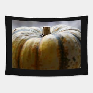 Soft Focus Close-Up of a Small Light-Yellow Pumpkin Tapestry