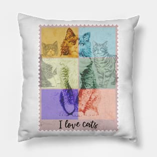 cat lover gifts Pillow