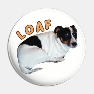 loaf dog funny meme jack russel Pin