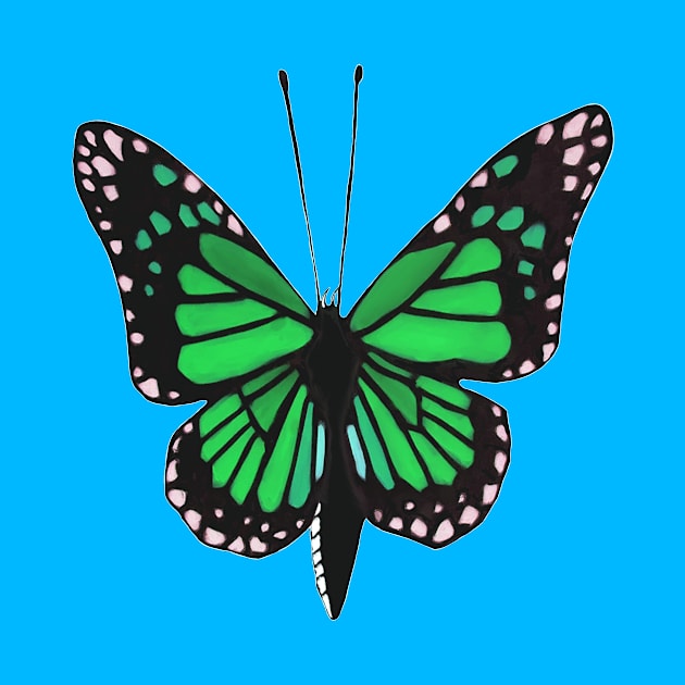 Butterfly 02p, transparent background by kensor