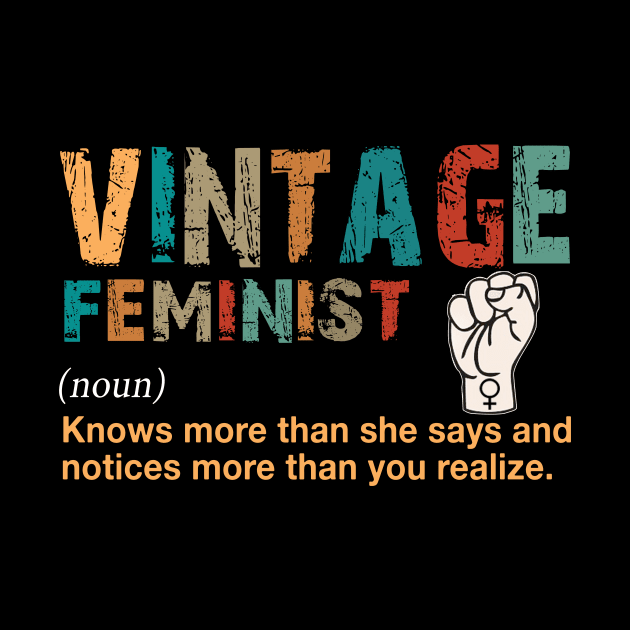 Vintage Feminist Definition Noun Costume Gift by Ohooha