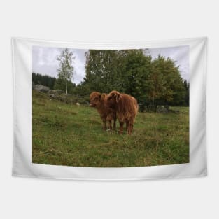 Scottish Highland Cattle Calves 1537 Tapestry