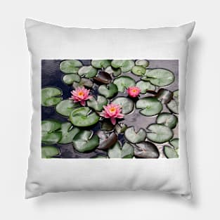 Pink Water Lilly Flower Trio floating on a Garden Pond Pillow