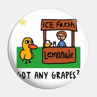 Got any grapes funny internet old meme tiktok viral funny design Pin