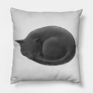 Sleeping Cat Pillow