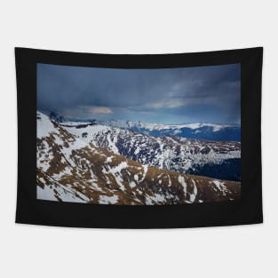 Mountain range in the spring Tapestry