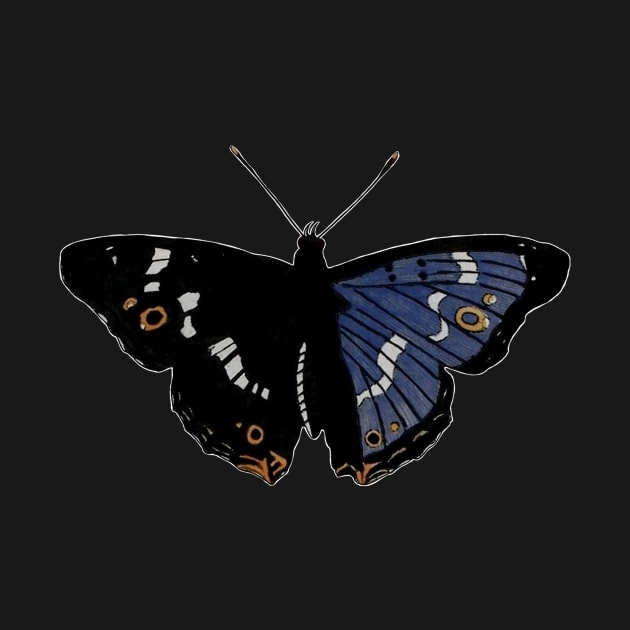 Butterfly 01b, transparent background by kensor