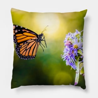 Monarch Butterfly Landing Photograph Pillow
