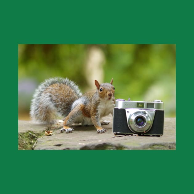 Grey squirrel Photographer with vintage camera by Simon-dell