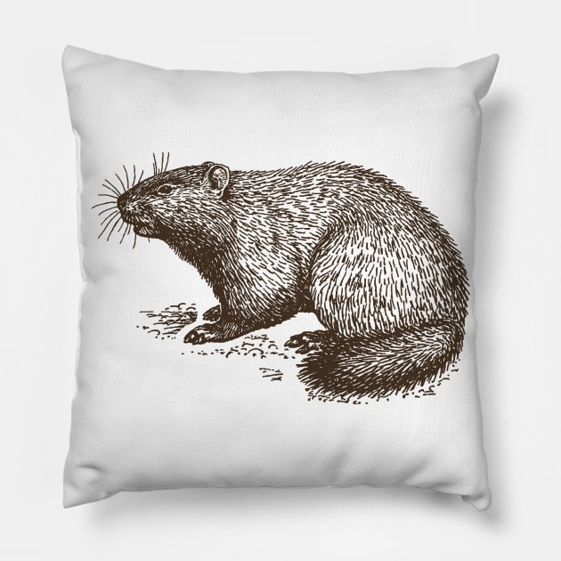 Vintage Groundhog Pillow by valentinahramov