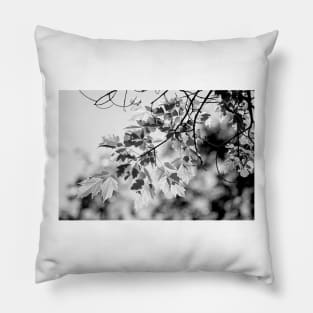 Magic of a Sunny Day Pillow