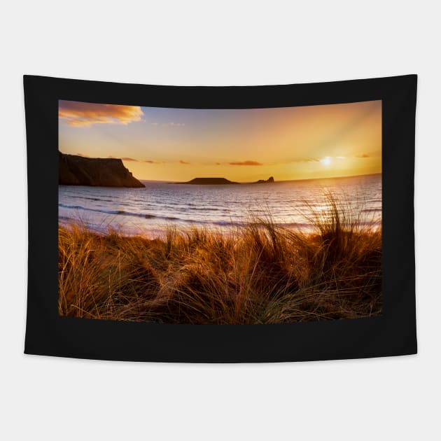 Worms Head, Rhossili Bay Tapestry by dasantillo