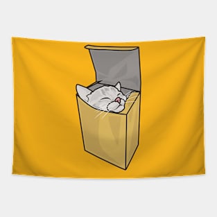 Cat in the box Tapestry