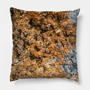 Rustic Seaside Erosion Texture Pillow