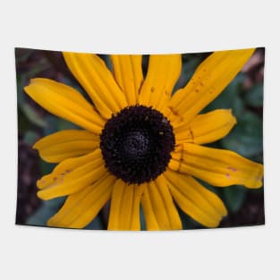 Black Eyed Susan Tapestry