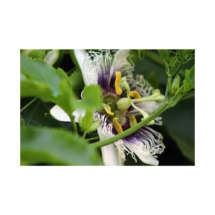 Passion Flower Closeup T-Shirt