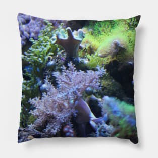 Coral Pillow