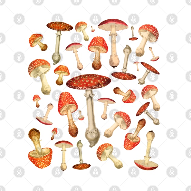 Fly Agaric Mushrooms, by TheGrinningSkull