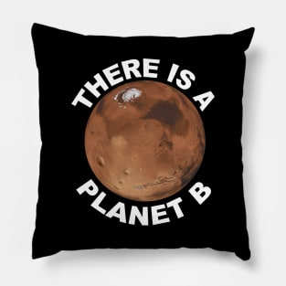 "There is a Planet B" Pillow