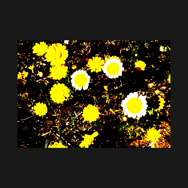 Yellow Daisies Polarized by 1Redbublppasswo