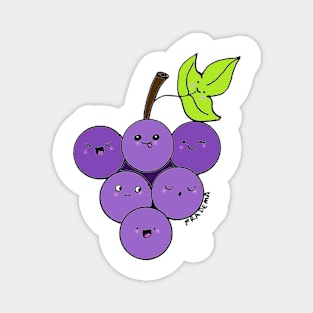 The fruit of the vine Magnet